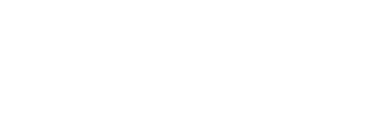 Rijschool De Brug logo